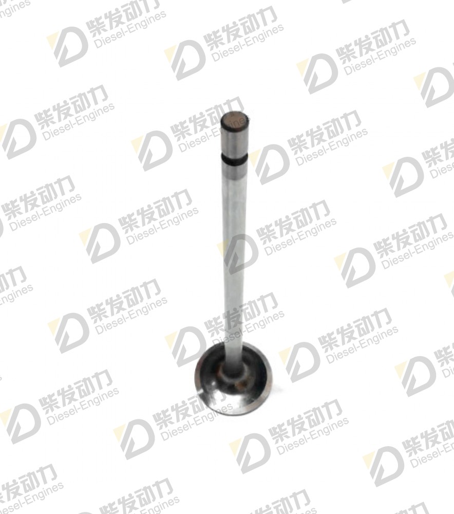 Inlet valve 3169490 